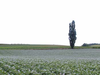 P7060167