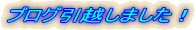 ブログ引越しました！